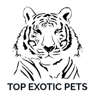 topexoticpets